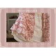 Sweet Dreamer Nunnally Vintage Lace Underskirt(Pre-Made/Limited)